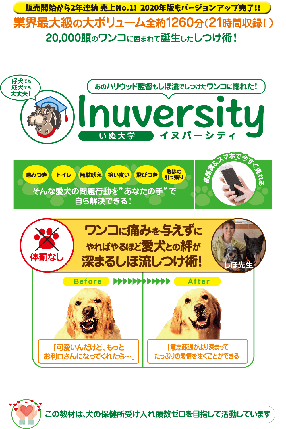 犬のしつけ ワンちゃんの問題行動が１日で解消